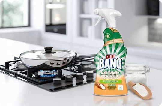 Reckitt Καθαριστικό Spray για Λίπη 750ml