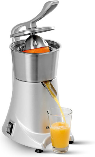 Alfa Frost Automatischer Obstverarbeitungsmaschine 230W