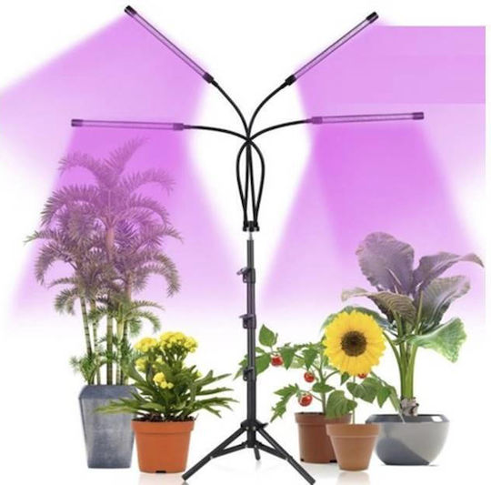 Lămpi Decorative Pentru Masă LED