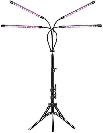 Lămpi Decorative Pentru Masă LED