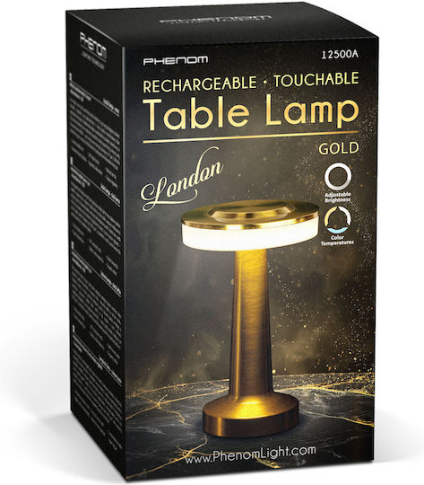 Decorative Table Lamp
