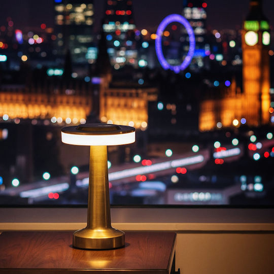 Decorative Table Lamp
