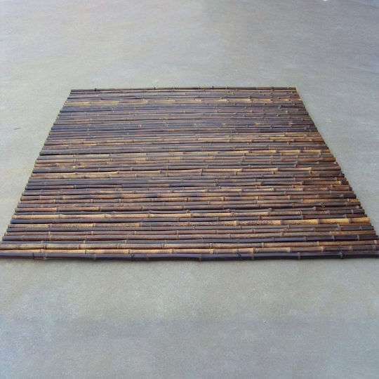 Showood 3029
