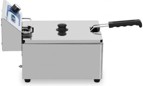 Dynamic Electric Fryer Capacity 6lt