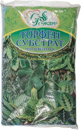 Material De Plantare 10l