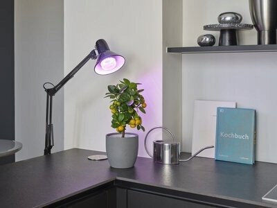Osram LED Лампа 7.5W за Фасунга E27 и Форма R63