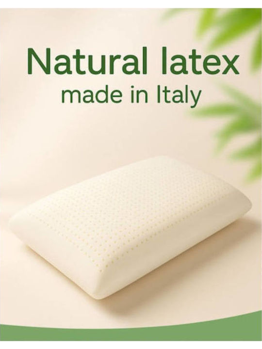 Strom Eco Natural Latex Standard Μαξιλάρι Ύπνου Latex Ανατομικό 62x42x12.5cm