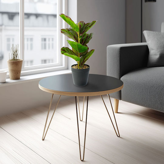 Artificial Zebra Leaf Plant 34 Cm Green Black In Pot Modern Home Office Decor
