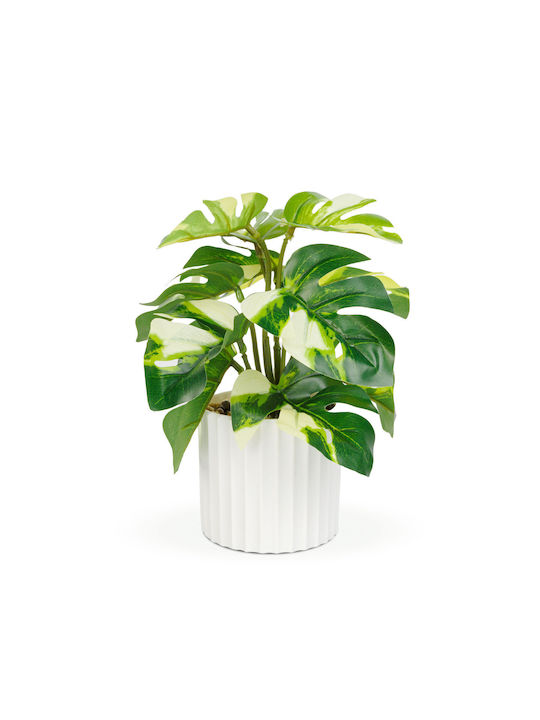 Decoratiune Din Plastic Philodendron Verde Galben 20 X 8 Cm