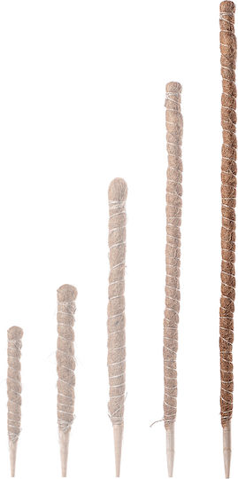 Kadax Coconut Plant Stake Pot Support 150 Cm 1 Pc