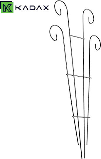 Kadax Steel Garden Stake 36 X 80 Cm 1 Pc
