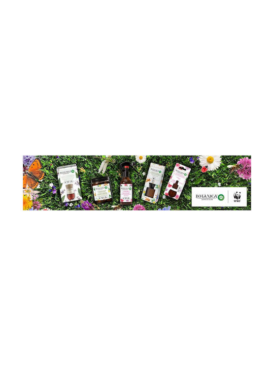 Reckitt LED Ultraschall Aromatherapie-Diffusor mit Timer Grüne 20ml