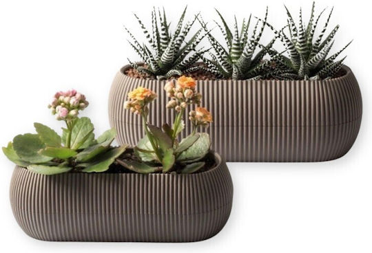 Viosarp Coral Plastic Flower Pot Brown