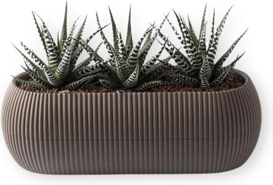 Viosarp Coral Plastic Flower Pot Brown