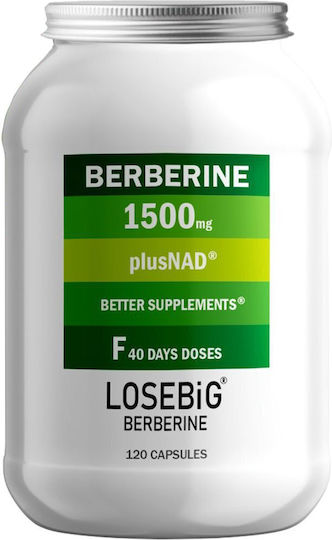 Amhes Losebig Berberine 1500mg 120 κάψουλες