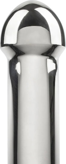Steel Διπλό Dildo Ασημί