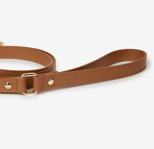 Dog Leash/Lead Strap Branni Pets in Brown Colour