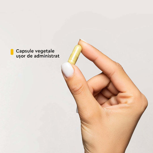 Supliment Alimentar Zilnic cu Quercetină 30 Capsule Good Routine By Secom
