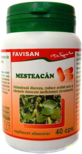 Mesteacăn 40 Capsule Favisan