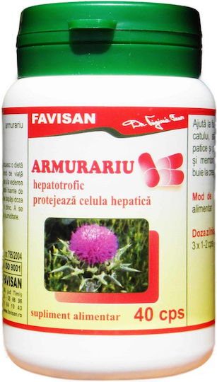 Silimarina 40 Capsule Favisan