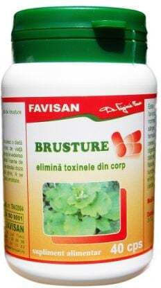 Brusture 40 Capsule Favisan