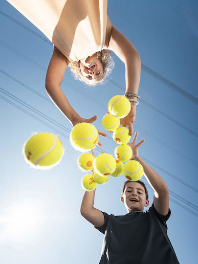 Head Tennis Ball 1 Piece