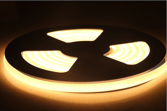 Universe Водоустойчива LED Лента 24V Топло бяло Светлина 5м Неон Флекс
