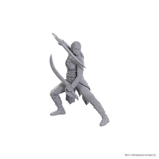 D&d Nolzur's Mini Se Bg3 Jaheira & Halsin