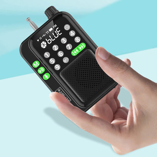 Zenwire Y1 Φορητό Ραδιόφωνο Επαναφορτιζόμενο με Bluetooth και USB Μαύρο