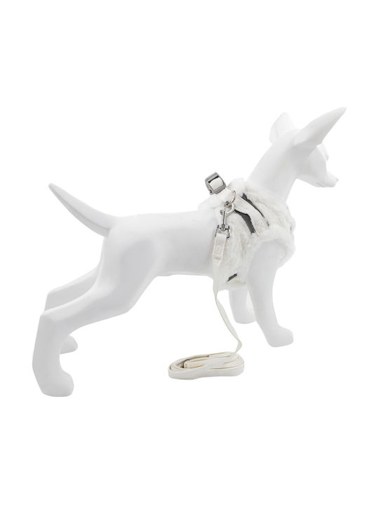 Set Harness+leash Dog Cat Dirty White Polyester Size S Insulated Set Harness+leash Dog Cat Dirty White Polyester Size S Insulated