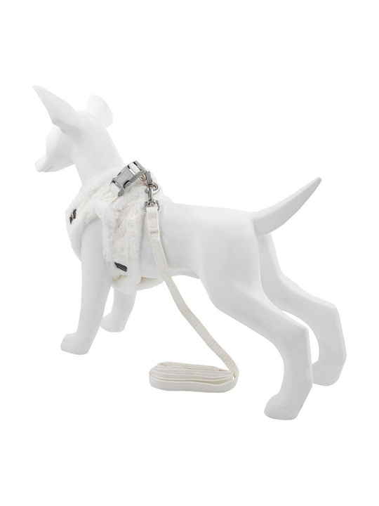 Set Harness + Leash Dog Cat Dirty White Polyester Size L Insulated Set Harness + Leash Dog Cat Dirty White Polyester Size L Insulated