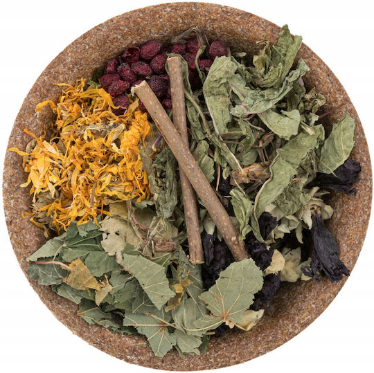 Vitapol Vita Herbal Lunch Bowl Guinea Pig