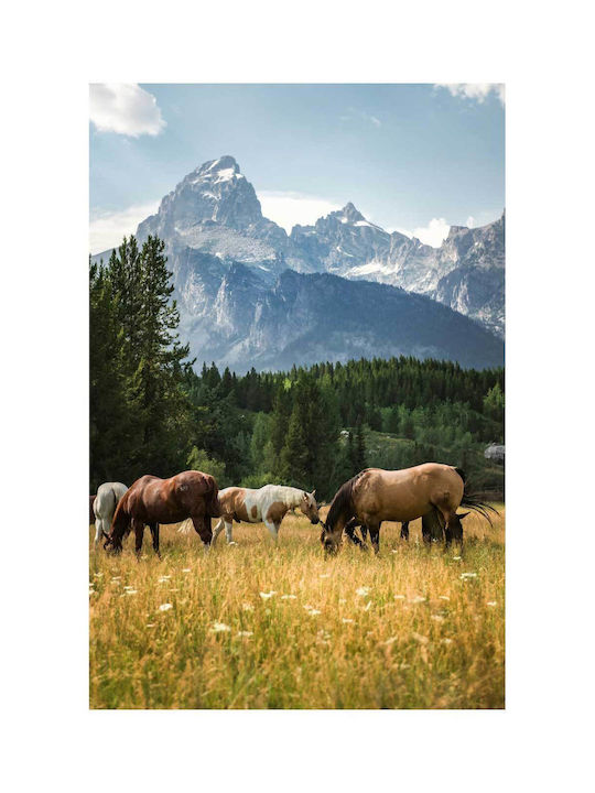 Painting Horses Grazing In Scenic Mountain Landscape 100x150