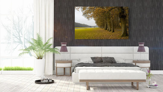 Autumn Park Landscape 1 on Canvas