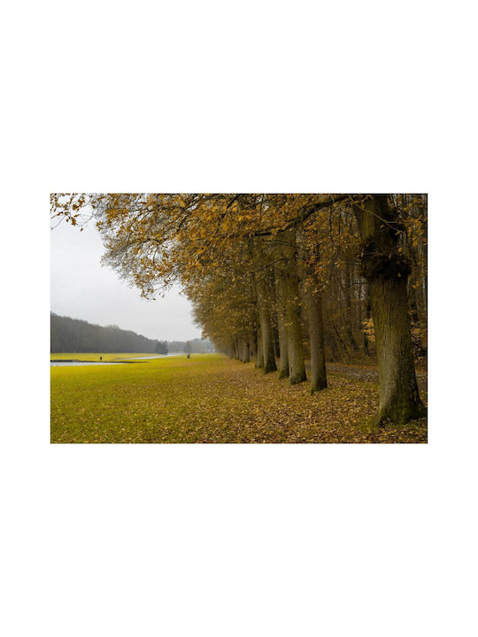 Πίνακας Autumn Park Landscape Τοπίο Πάρκου Φθινοπώρου 170x115