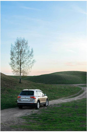 Painting Car On A Serene Country Road Car Serene Provincial Road 40x65