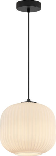 Braytron BV010009