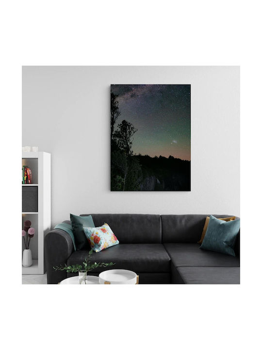 Panou Cerul Nocturn Stele Copaci 70x100