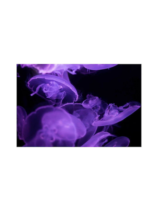Панел Purple Jellyfish В Морето Модри Медузи В Морето 100x70