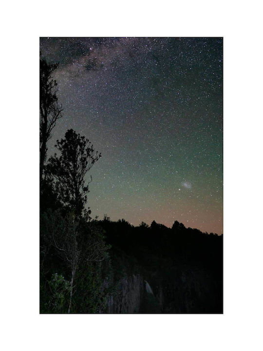 Πίνακας Night Sky Stars Trees Νυχτερινός Ουρανός Αστέρια Δέντρα 100x150