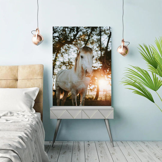 Horse And Sunrise Άλογο Και Ανατολή Horse And Sunrise Άλογο Και Ανατολή