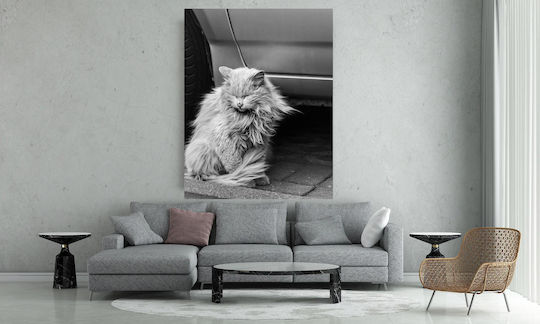 iLovePrints Gemälde Schwarz Weiß Katze Sitzt Neben Einem Auto 60x90
