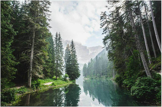 iLovePrints Tranquil Forest Lake Ήneμερη Λίμνη Δάσους 170x115