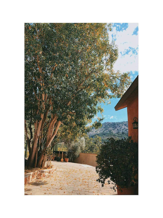 Panou Serene Outdoor Space Galenios Ypaithrios Choros 70x100
