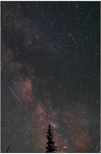 iLovePrints Night Sky Stars Tree Νυχternälicher Himmel Sterne Bäume 70x100
