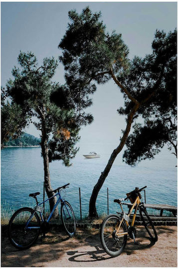Panou Bikes By Sea Biciclete Lângă Marea 80x120
