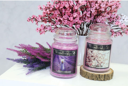 Relaxdays Lumânare Aromatică în Borcan cu Miros de Trandafir 17x10 cm
