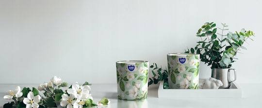 Aura Glass Lumânare Aromatică Verde