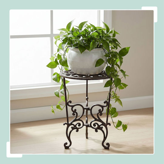 Relaxdays Suport Pentru Plante Gri 58x50x50 cm