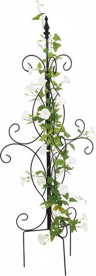 Araci Si Suporturi Plante Relaxdays Negru 116x45x45 Cm Set Araci Si Suporturi Plante Relaxdays Negru 116x45x45 Cm Set